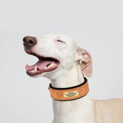 PetSafe Custom ID Collar WW