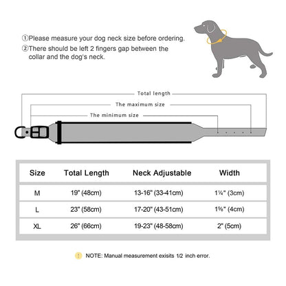 PetSafe Custom ID Collar WW