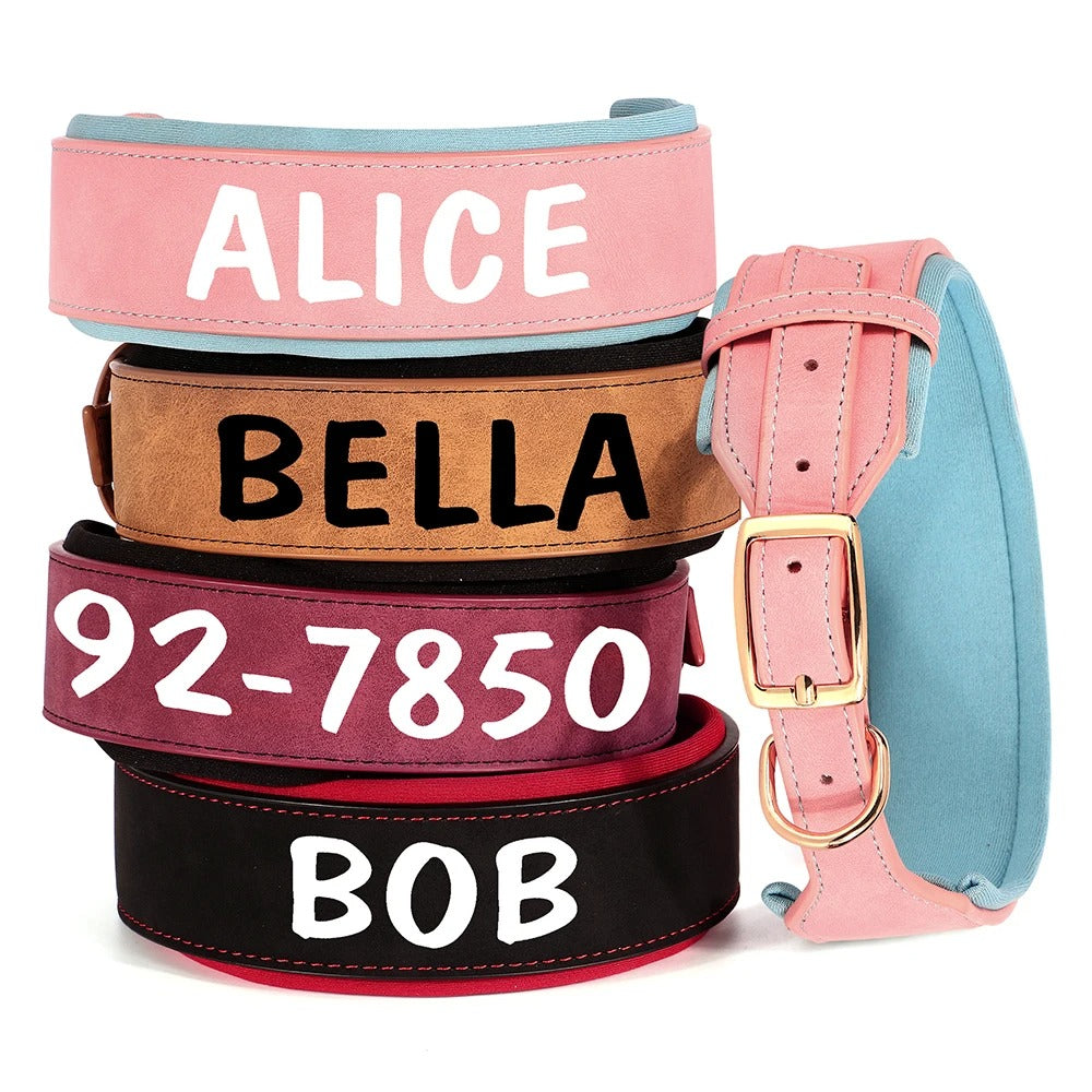 PetSafe Custom ID Collar WW