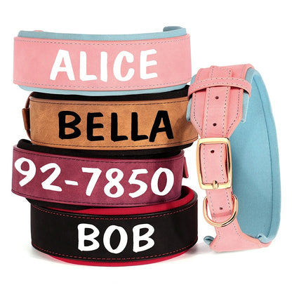 PetSafe Custom ID Collar WW