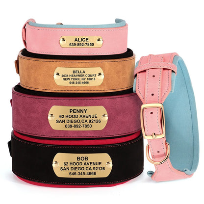 PetSafe Custom ID Collar WW