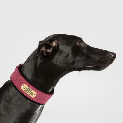 PetSafe Custom ID Collar WW