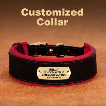 PetSafe Custom ID Collar WW