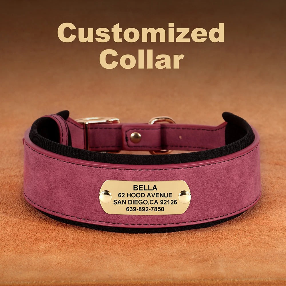 PetSafe Custom ID Collar WW