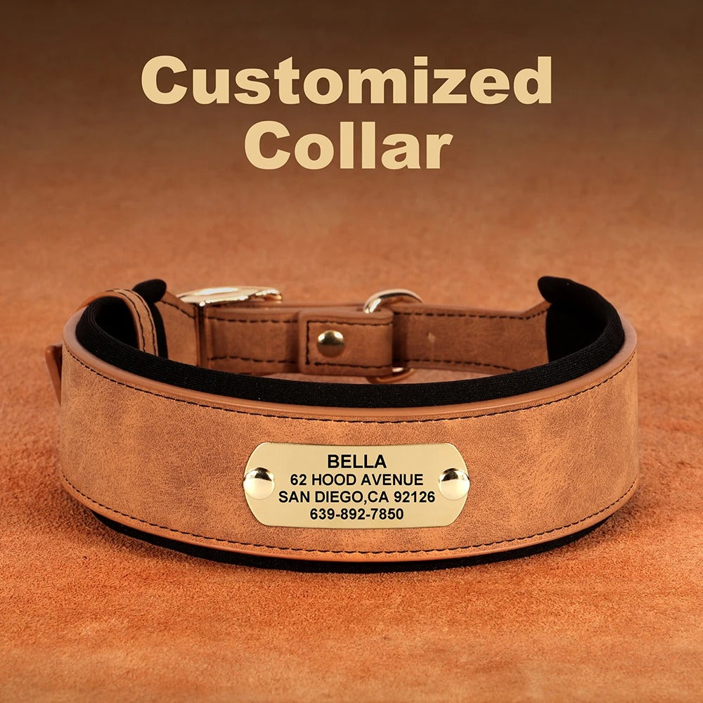 PetSafe Custom ID Collar WW