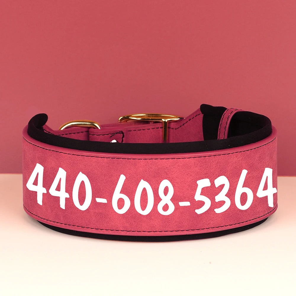 PetSafe Custom ID Collar WW